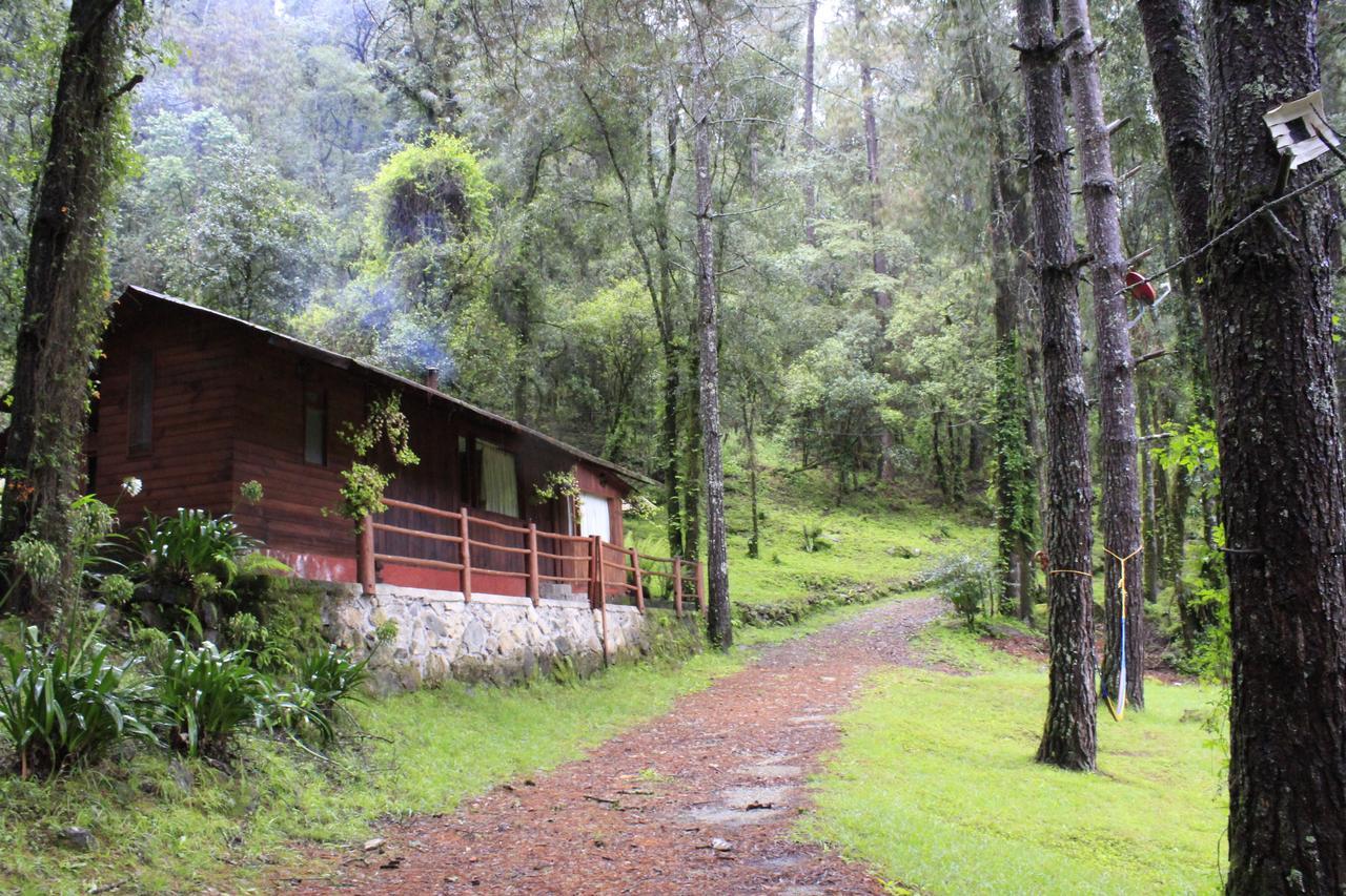 Cabanas Alpinas Lopez Fontes Valle de Bravo Eksteriør bilde